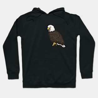 Bald Eagle Hoodie